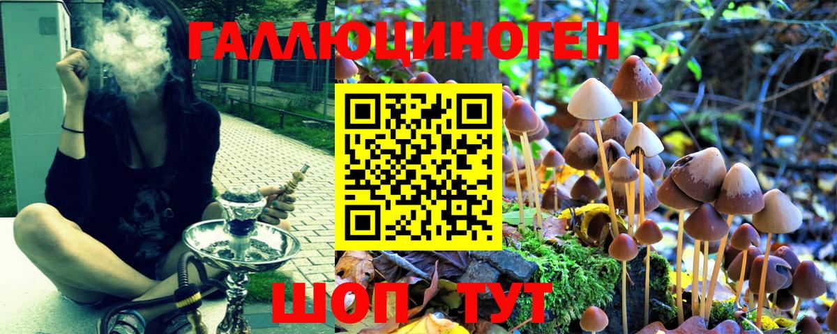 Псилоцибиновые грибы Magic Shrooms Керчь